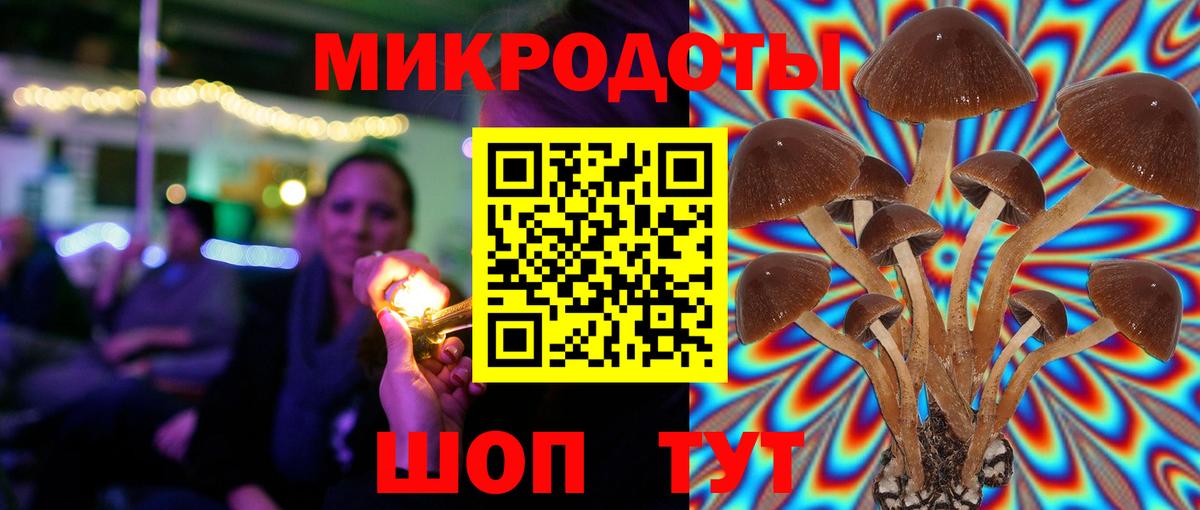 Галлюциногенные грибы Psilocybine cubensis  Вход с VPN  Амурск  Псилоцибиновые грибы MAGIC MUSHROOMS 